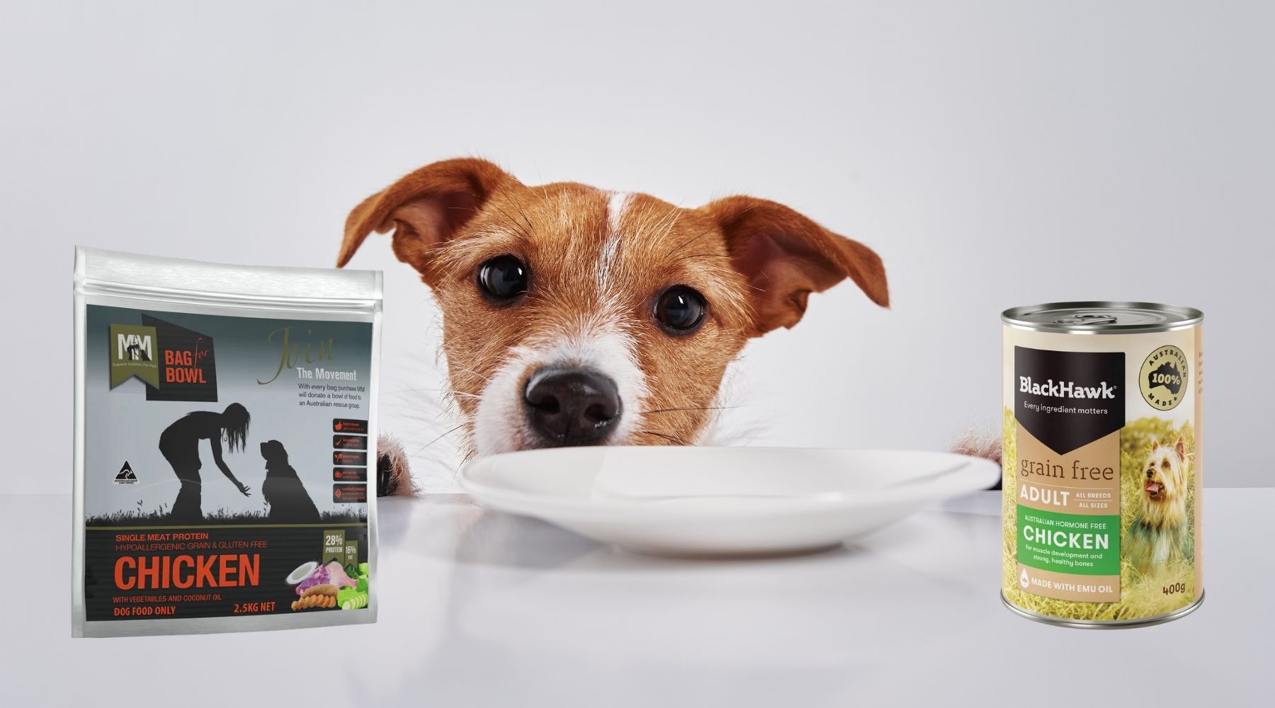 Dry vs Wet Dog Food: Which is Best for Your Dog?