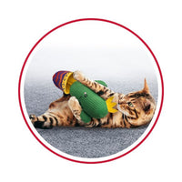 Kitty enjoying playtime with a plush catus cat toy.