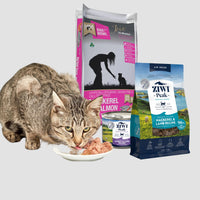 Cat food - for Adult Felines and Kittens