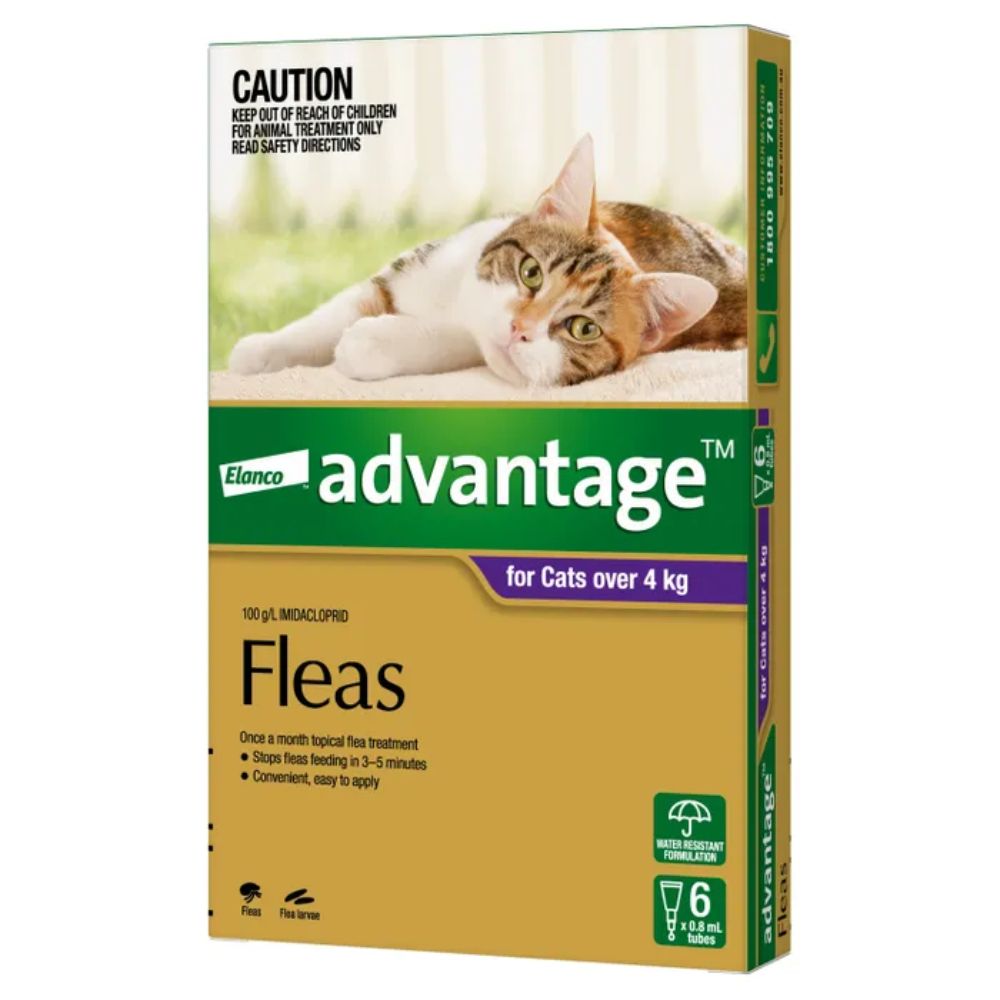 Image of Advantage Flea Treatment designed for large cats over 4kg