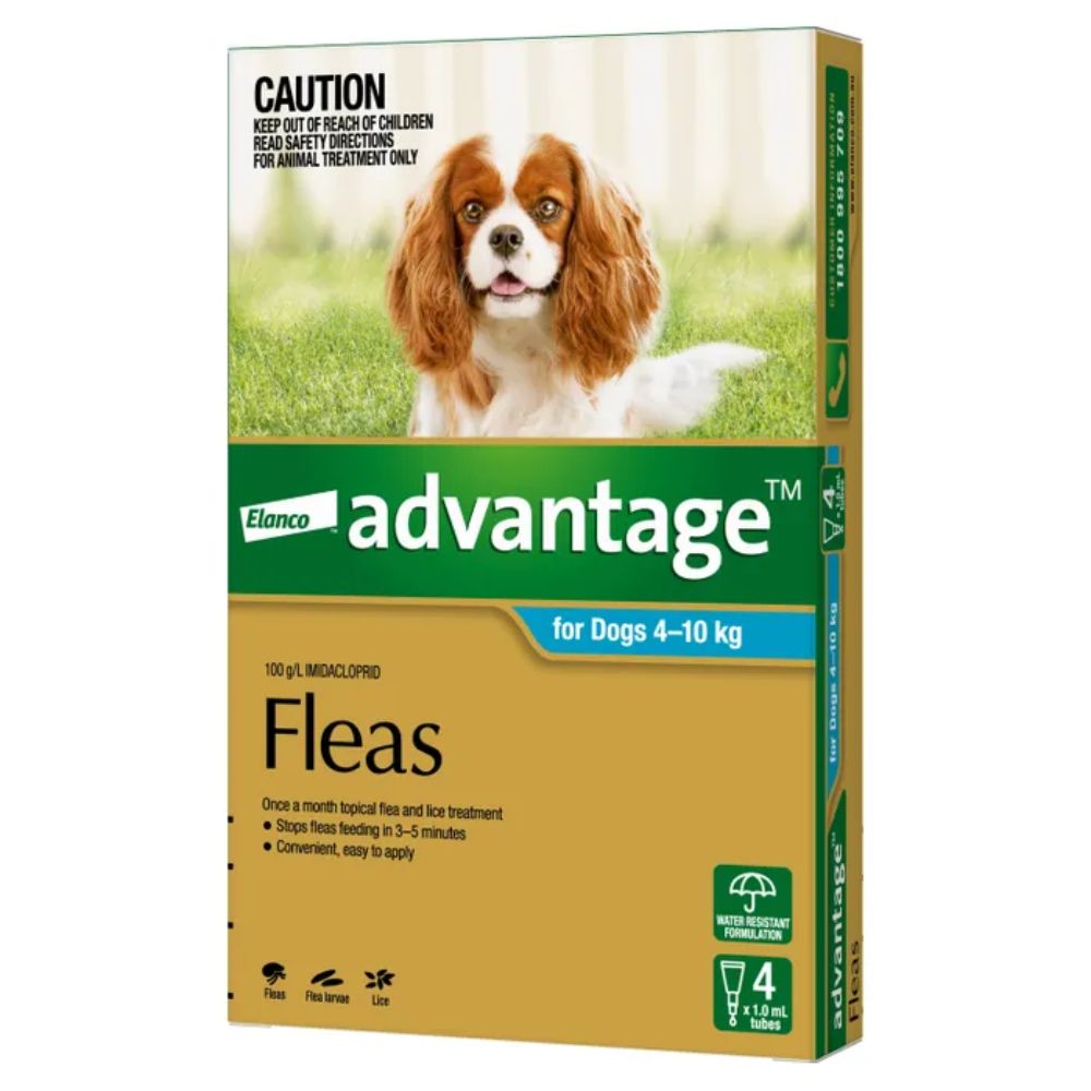 Topical flea solution by Advantage for small to medium-sized canines