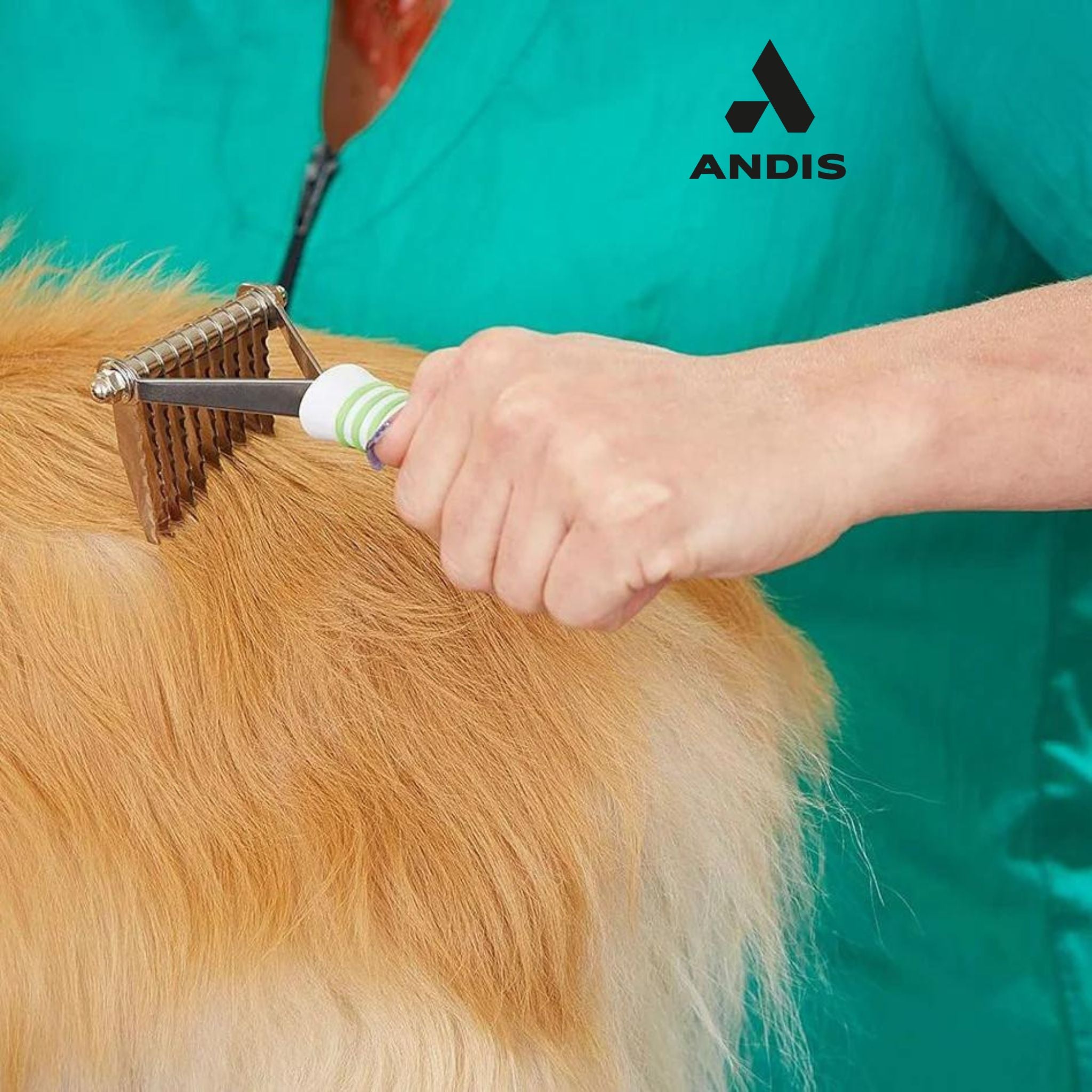 Dog being groomed with the Andis Dematting Rake, removing tangles
