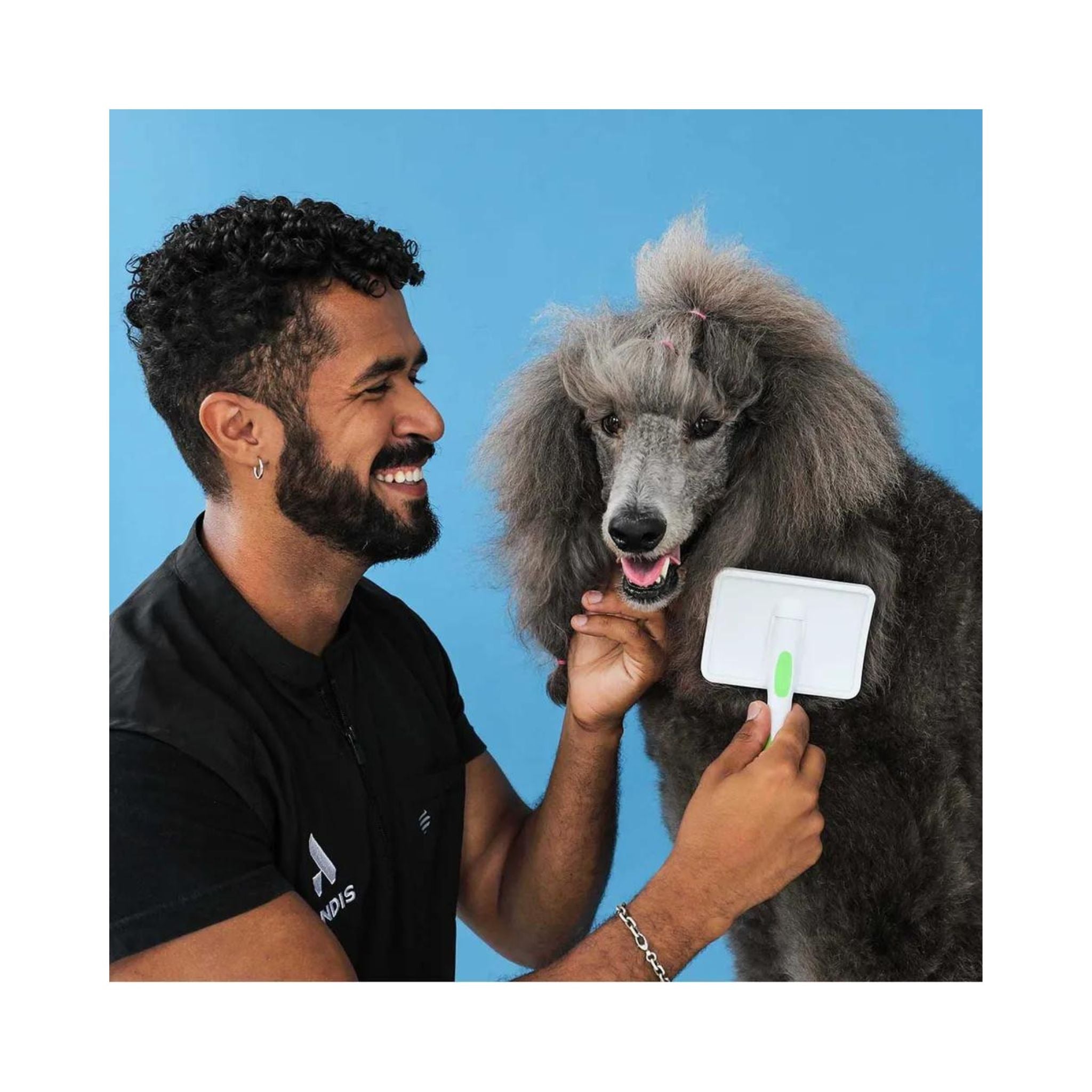 Pet owner gently grooming a medium to large dog with the Andis Large Firm Slicker Brush, removing tangles and shedding fur.