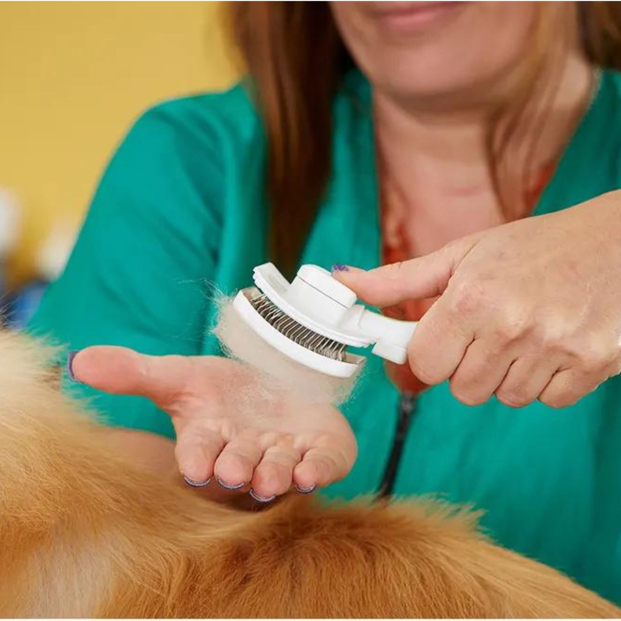 A Dog Groomer using an Andis Self-Cleaning Slicker Brush.