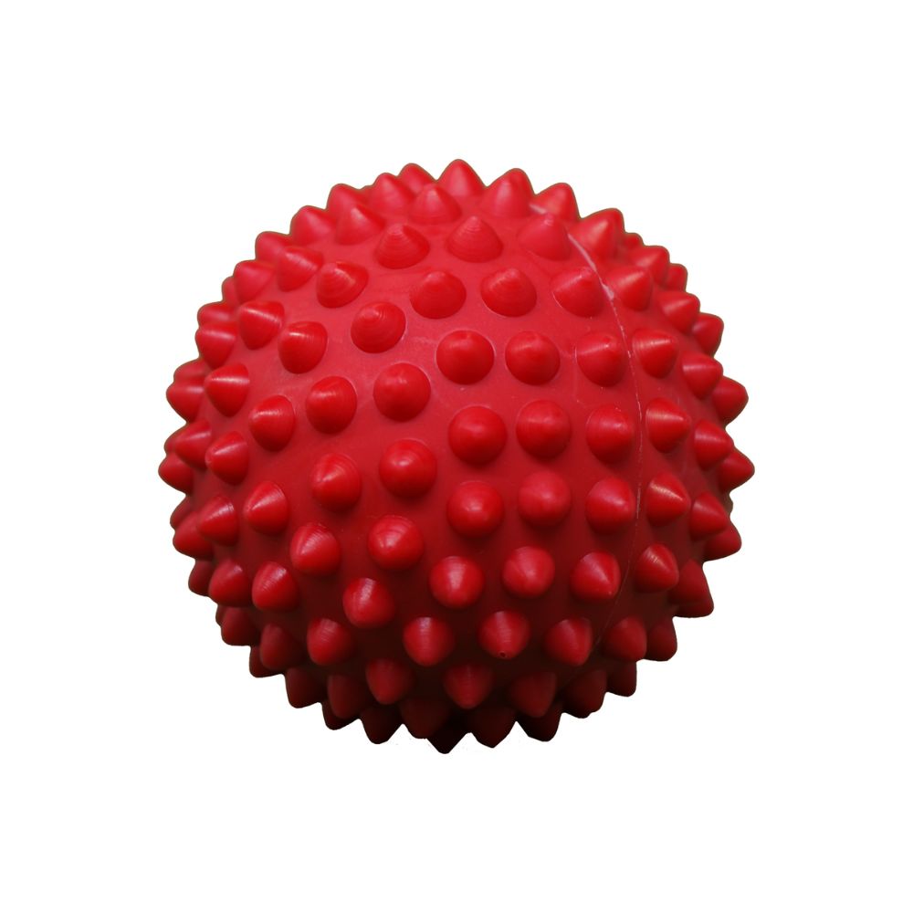 Aussie Dog Catch Ball Red Dog Toy