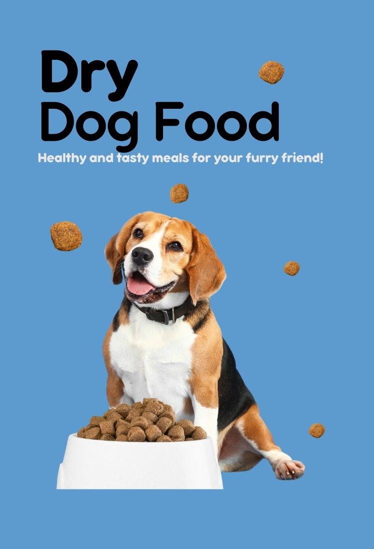 Dog sitting next to a bowl of dry dog food