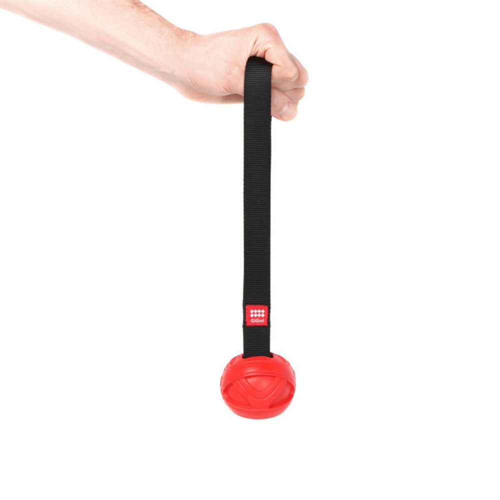 GiGwi Pet Toy - Nylon Strap Ball