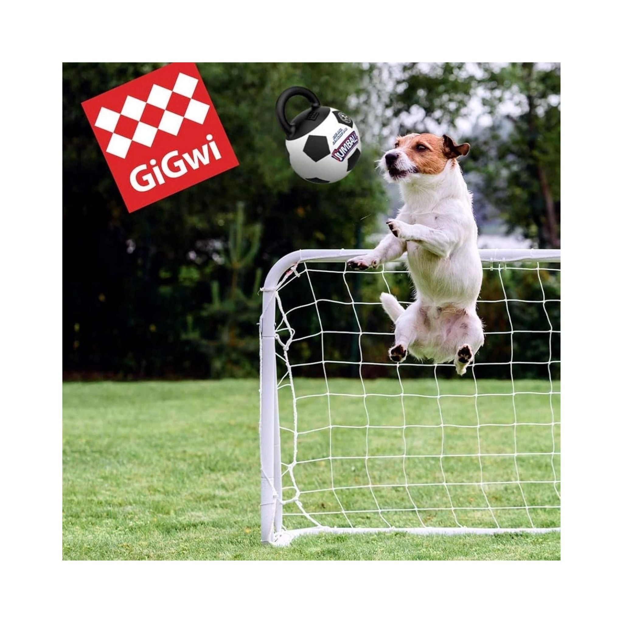 White dog jumping to fetch a GiGwi Jumball Soccer Ball