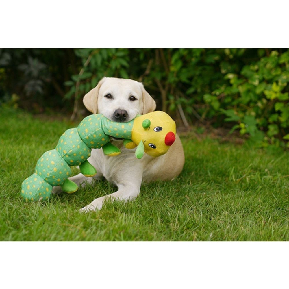 Rosewood Colin Caterpillar Dog Toy - With a Dog Playing
