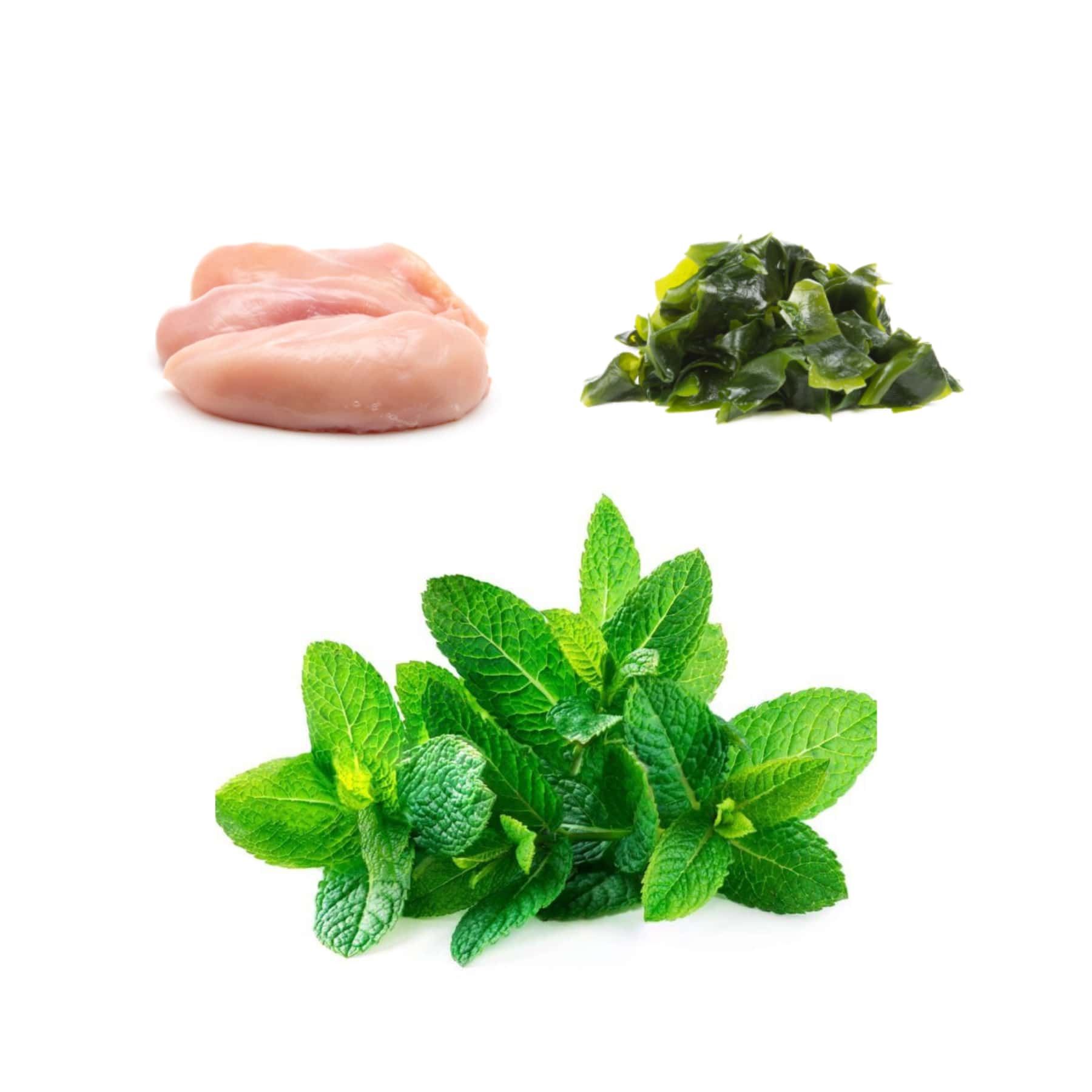 Bell & Bone Dental Sticks Chicken, Mint & Seaweed for Dogs. Key Ingredients.