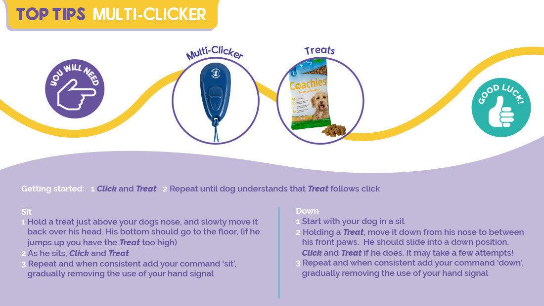 Company of Animals Multi-Clicker - Top Tips