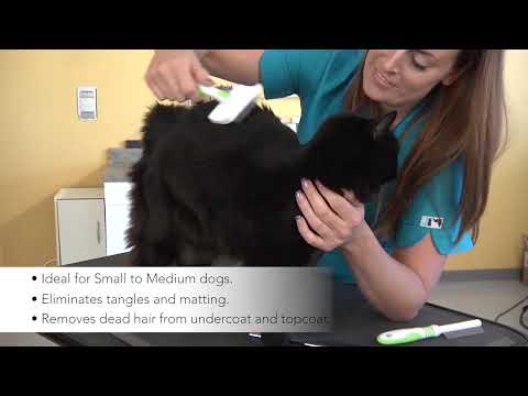 A video of a groomer using the Andis Medium Firm Slicker Brush on a pet.