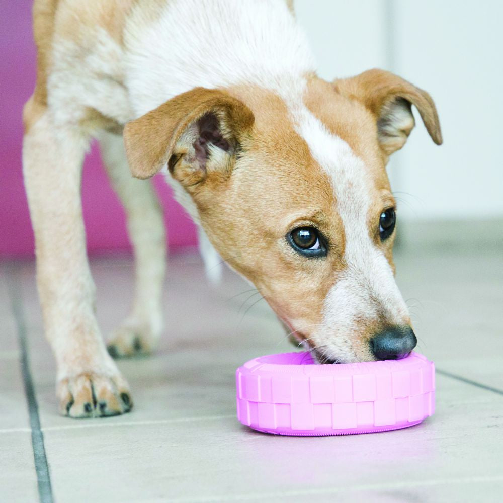 KONG Puppy Tire Dog Toy Pink - to ease your pup's teething gums