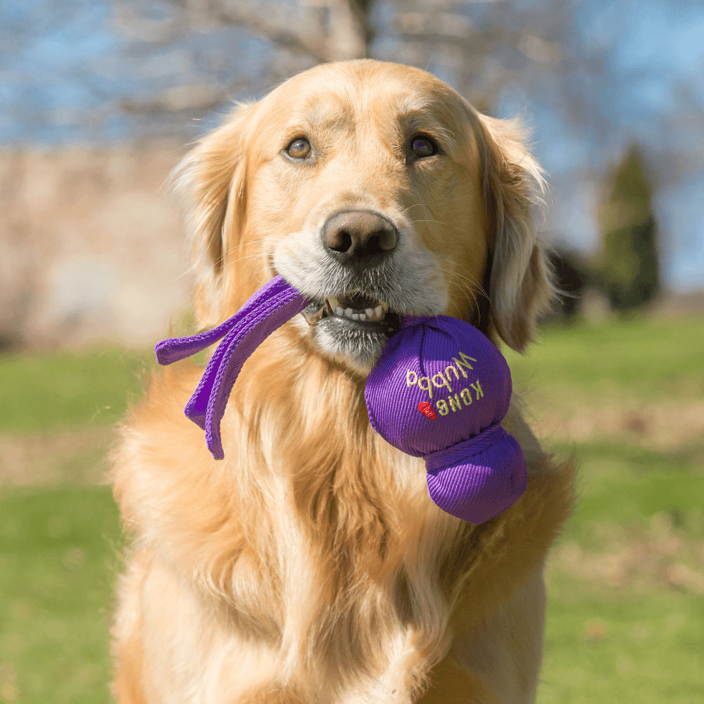 KONG Wubba Classic Dog Fetch Toy.
