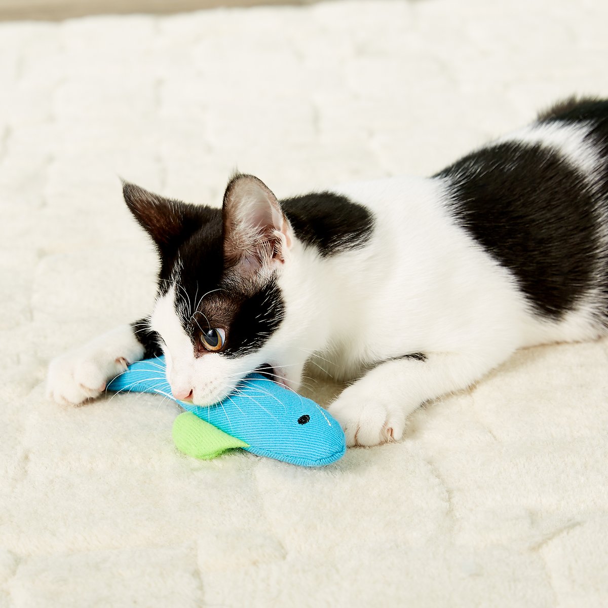 Cat Playing with a Cosmic Catnip Annette Fish Feline Toy