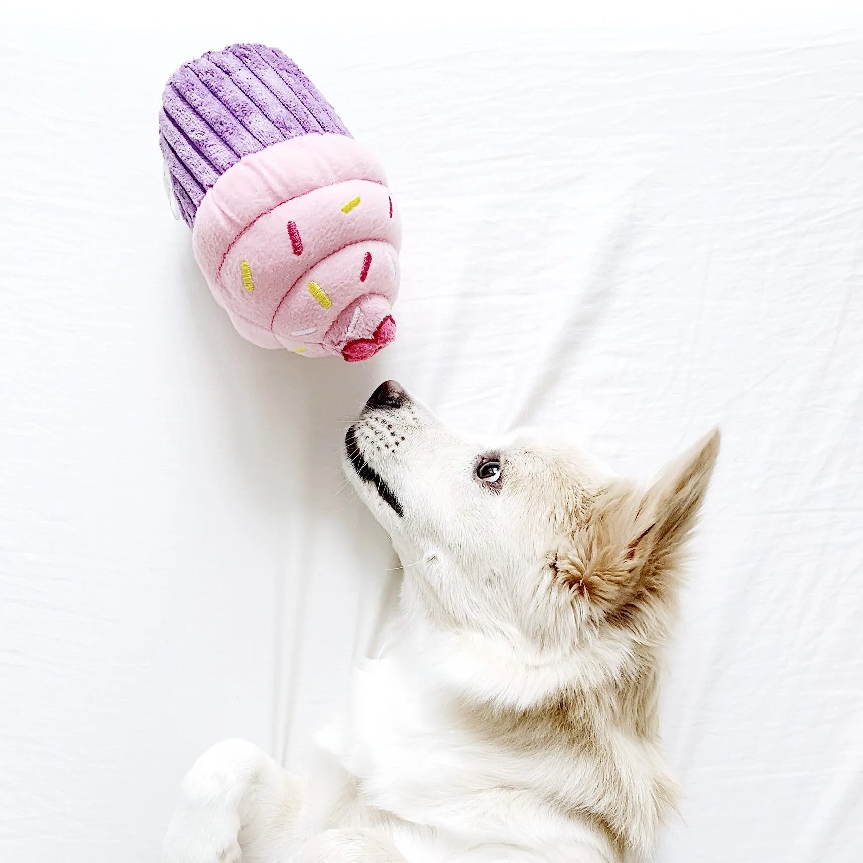 ZippyPaws Cupcake Pink - Plush Novelty Birthday Cake for Dogs.