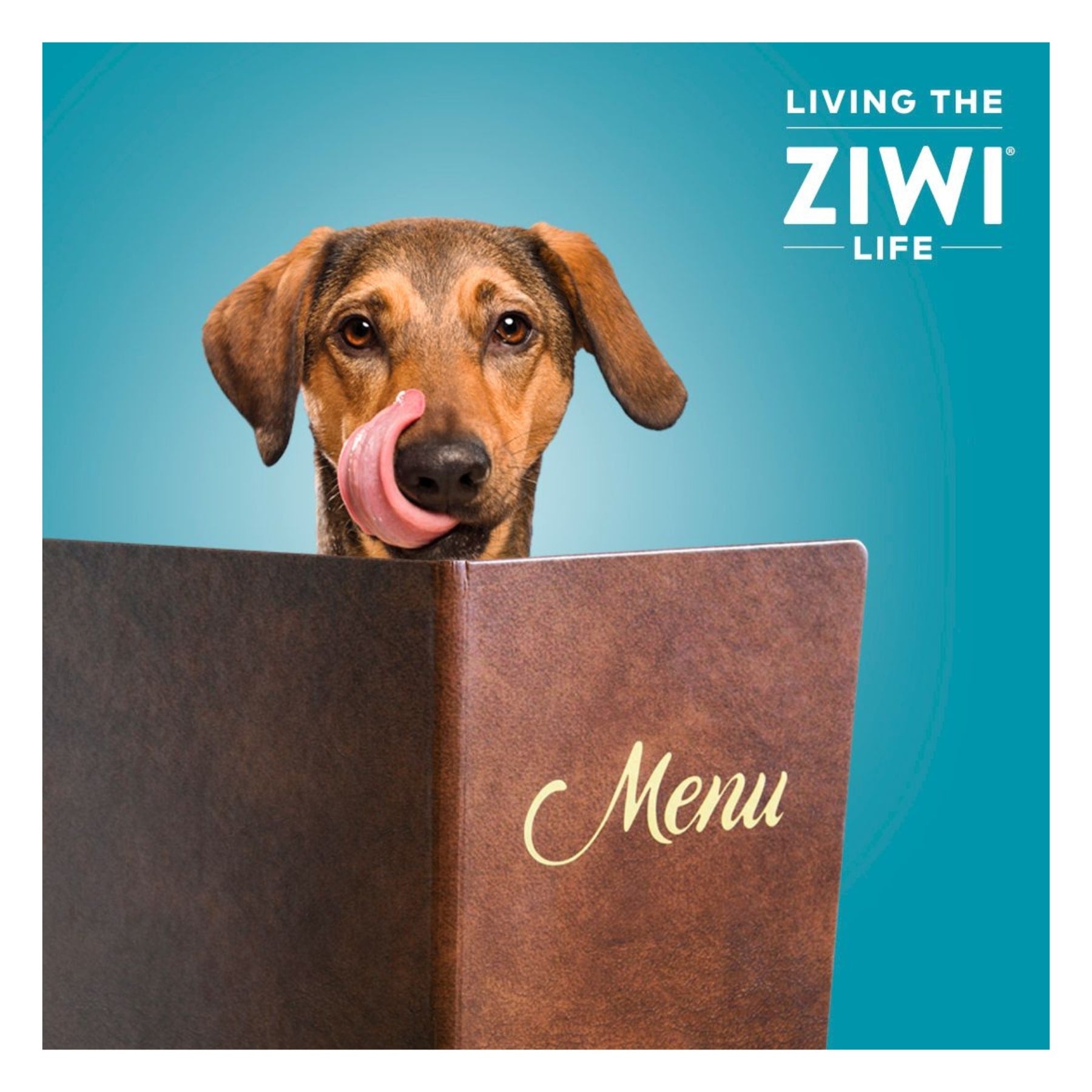 ZIWI Peak Good Dog Rewards Venison Recipe - Living the ZIWI Life