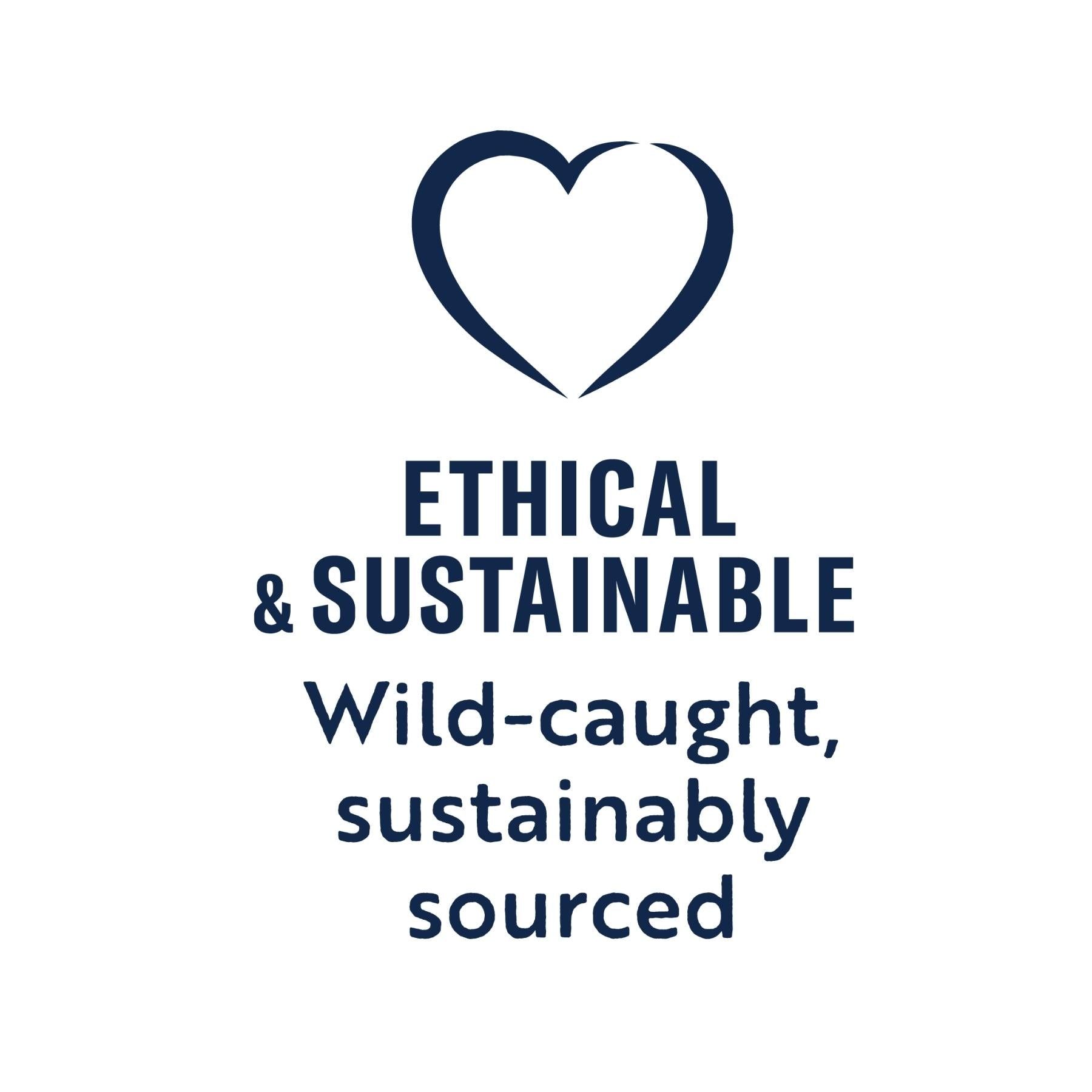 ZIWI Peak Wet Cat Food Mackerel Recipe, Ethical and Sustainable, Wild-Caught