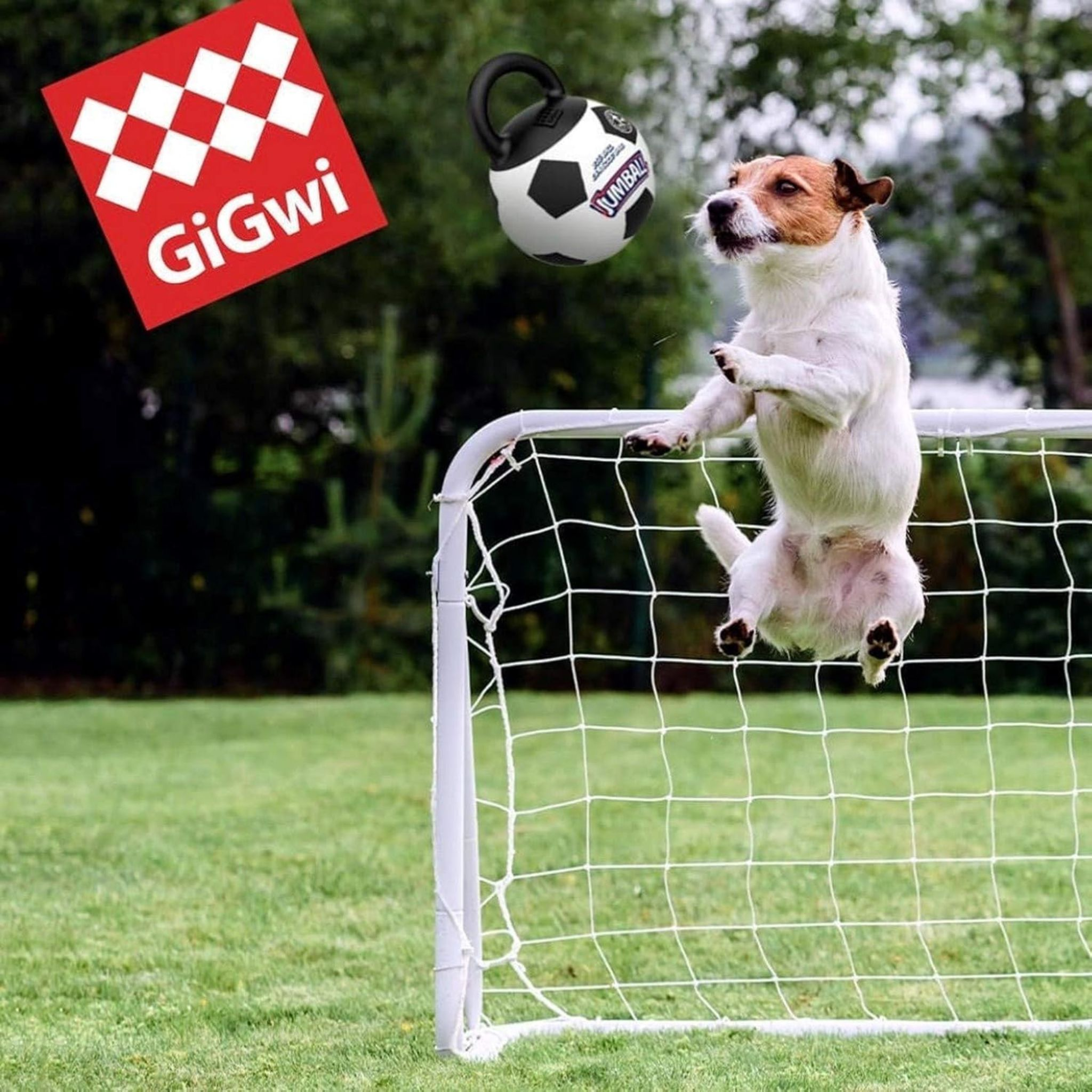 GiGwi Toys: Dogs & Cats