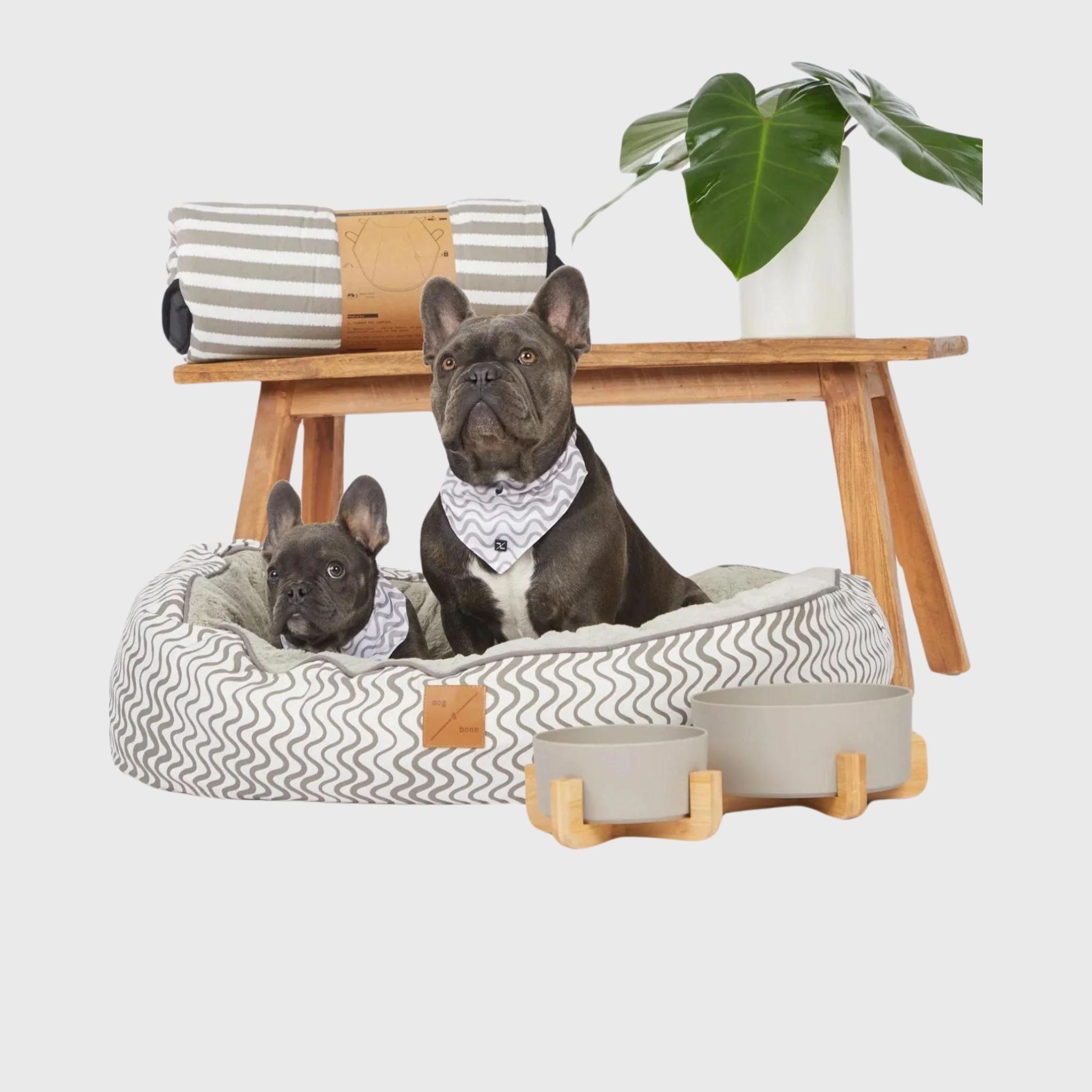 Mog & Bone: Designer Pet Accessories