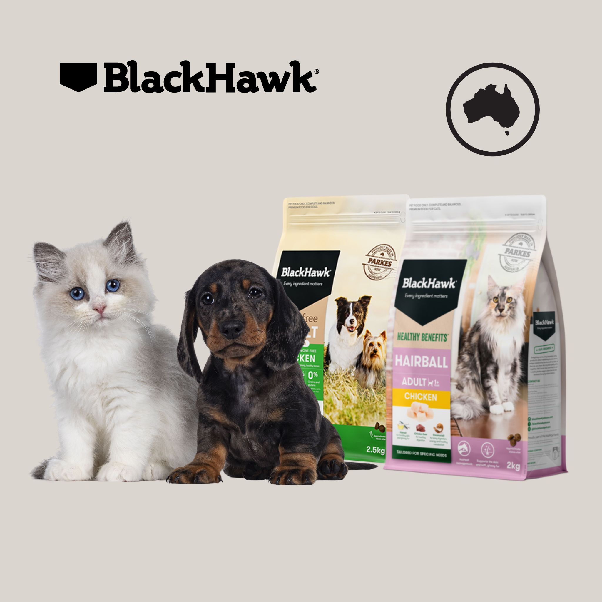 Black Hawk: Dogs & Cats