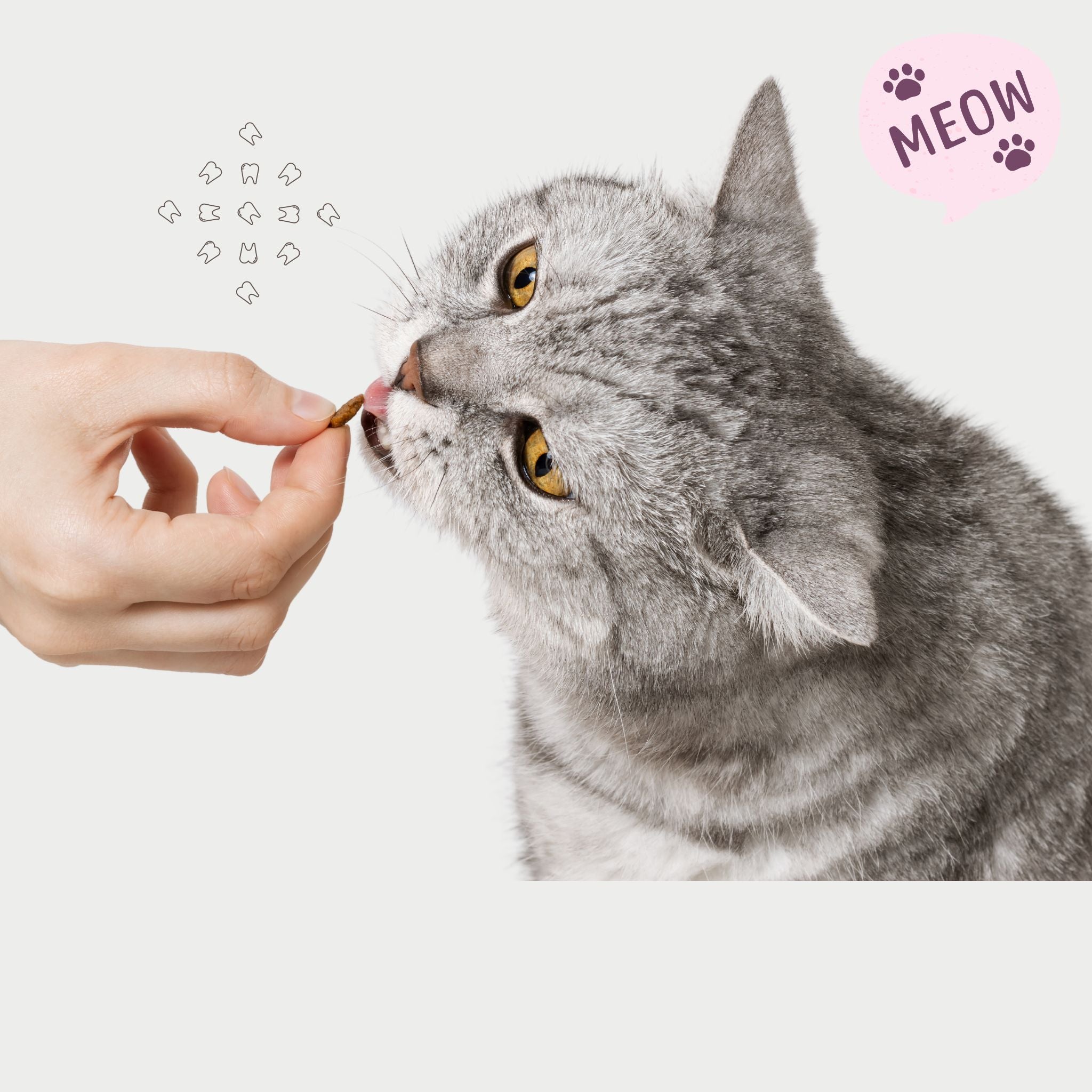 Cat Dental Treats