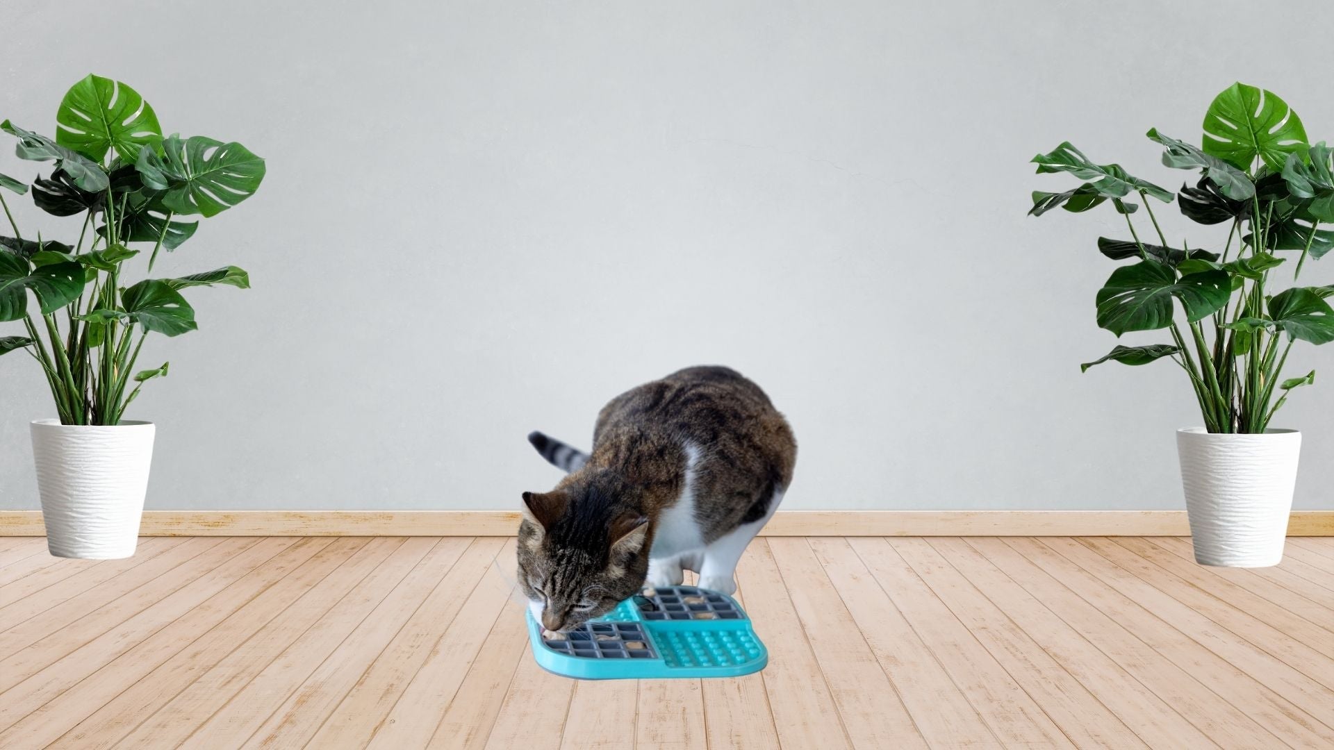 Lick Mats for Cats