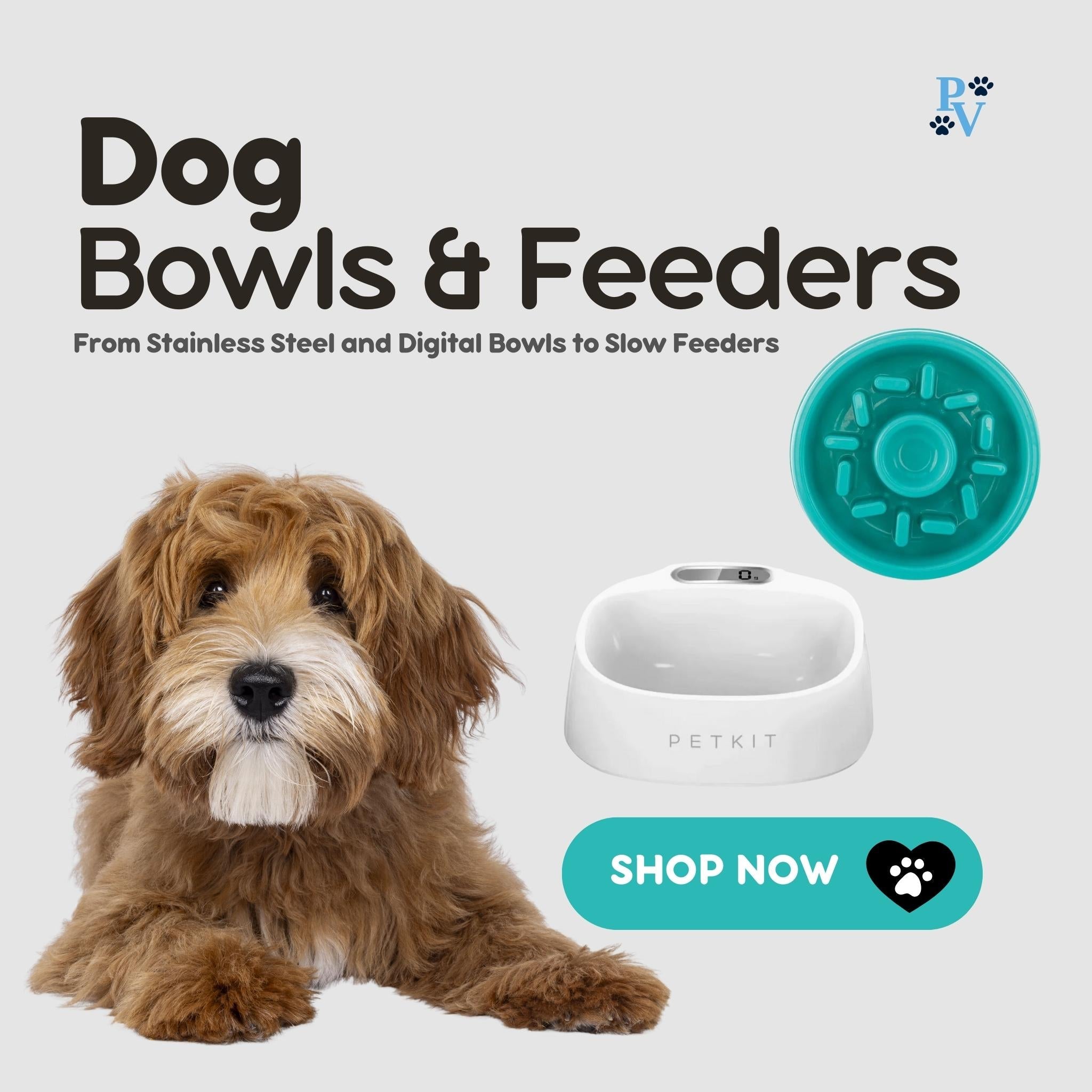 Dog Bowls & Feeders