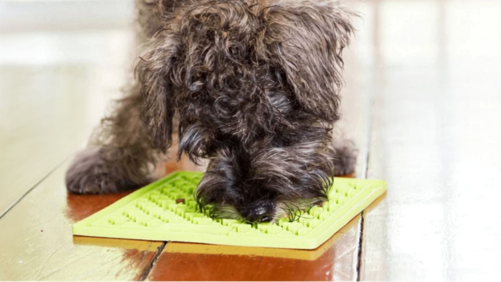 Lick Mats for Dogs