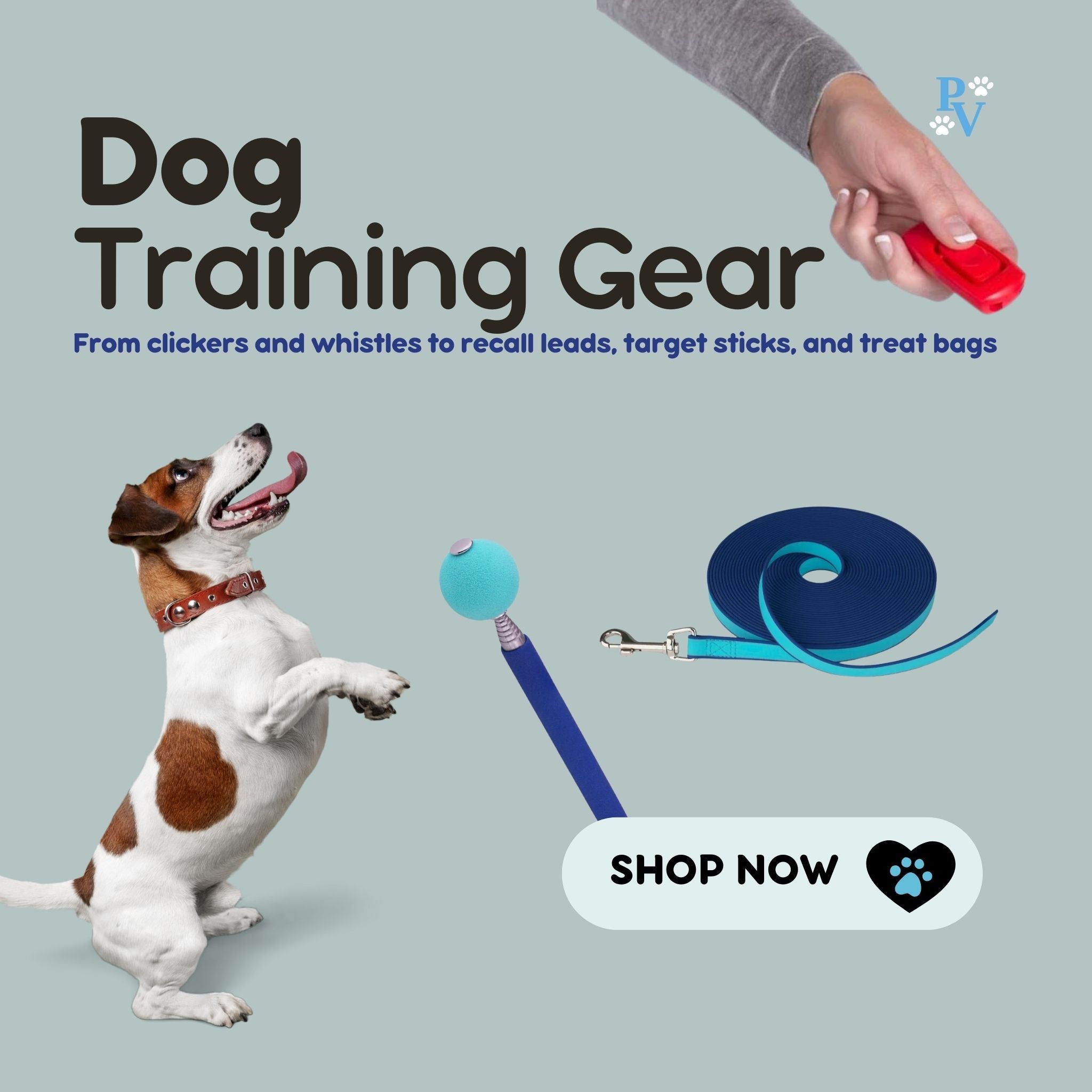 Dog Training Equipment