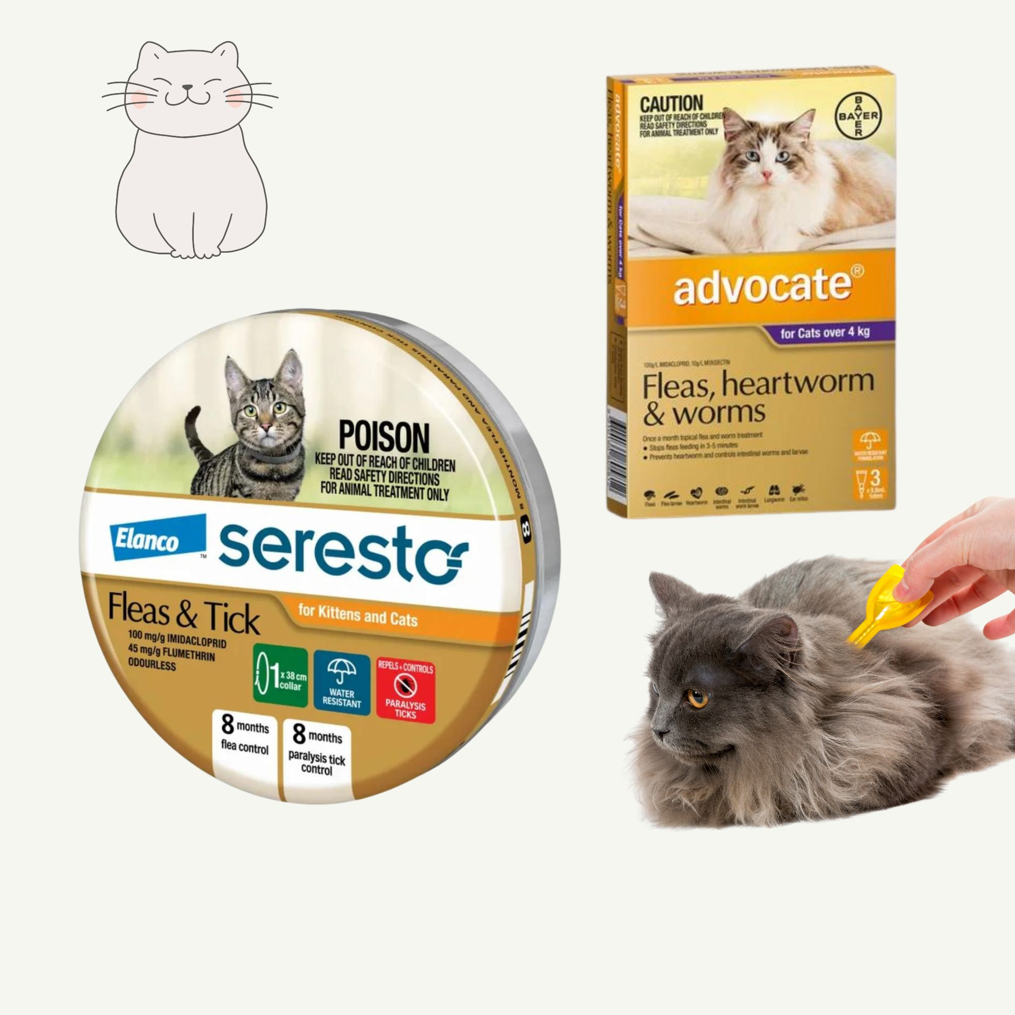 Cat Flea, Tick & Worming