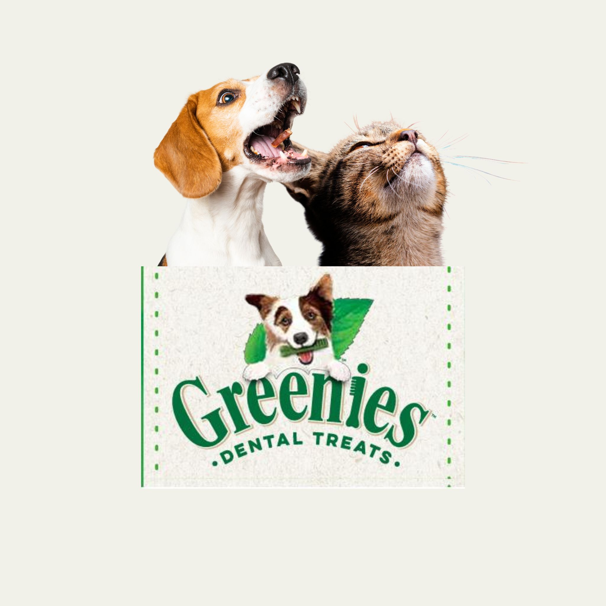 Greenies Dental Treats