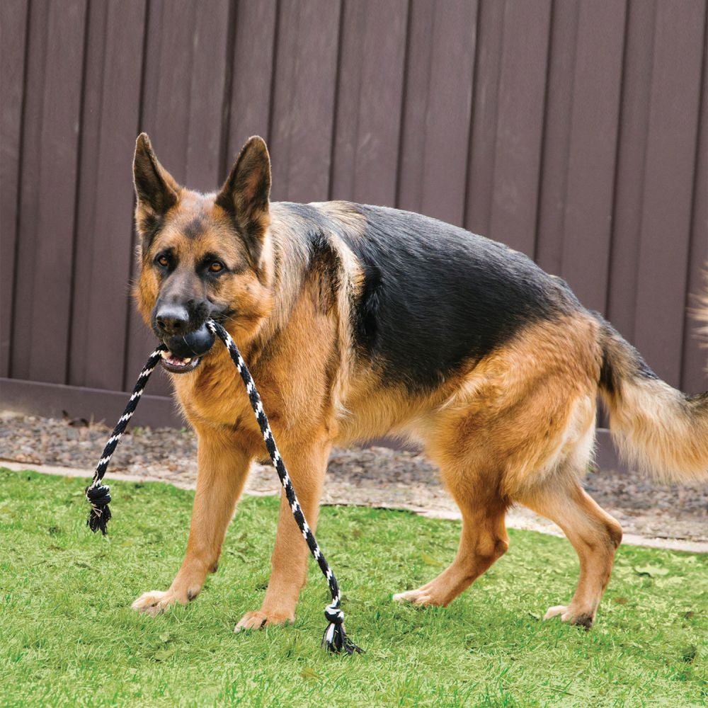 KONG Rubber Dog Toys