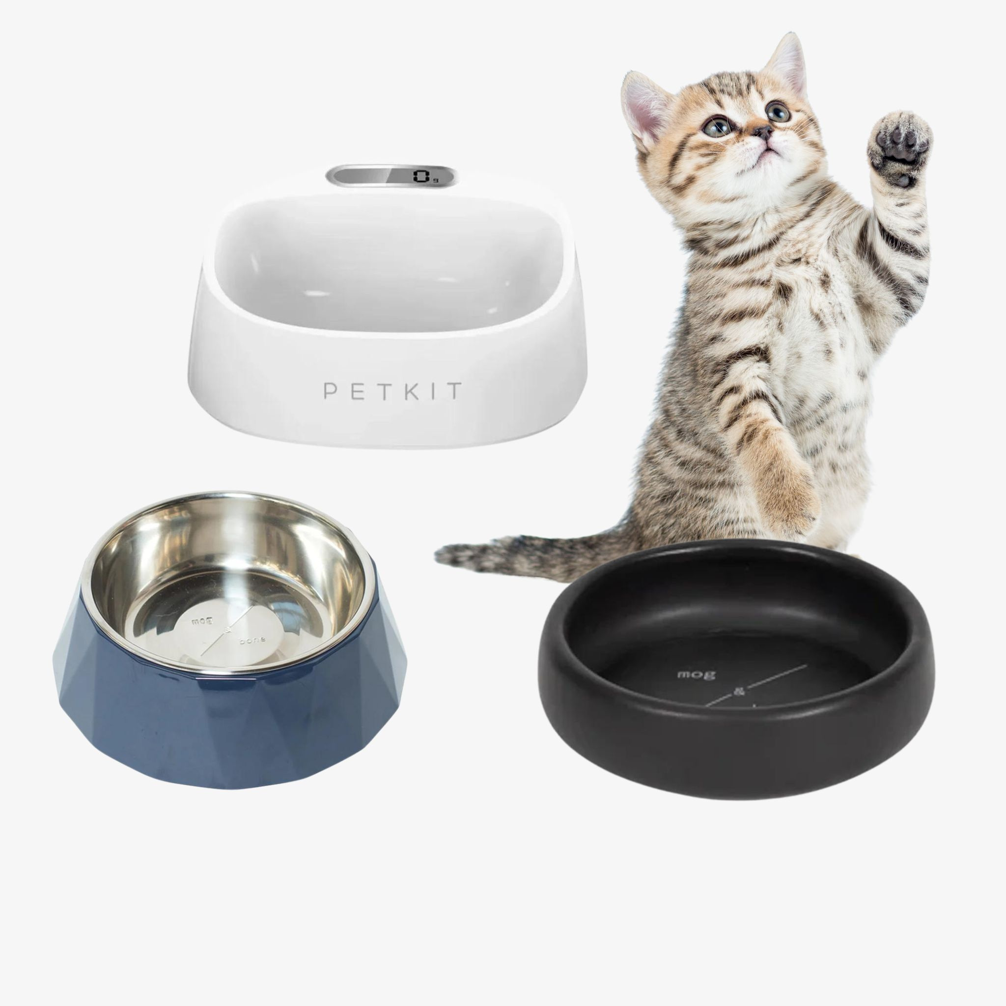 Cat Bowls & Feeders