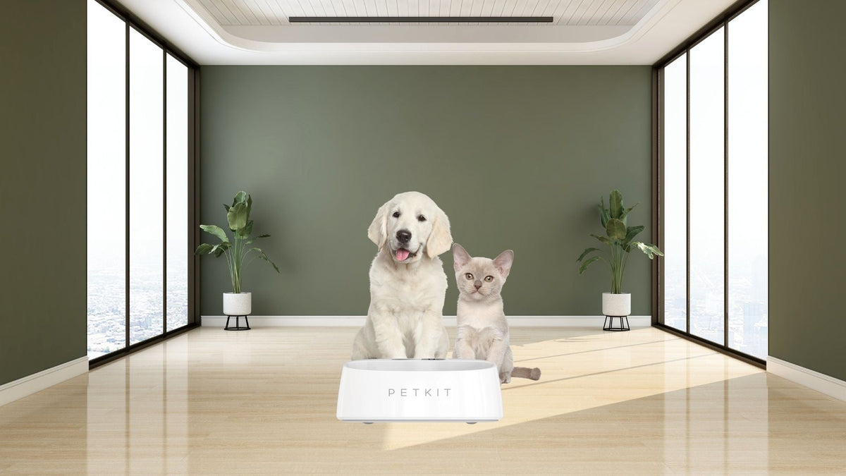PetKit Digital Bowls