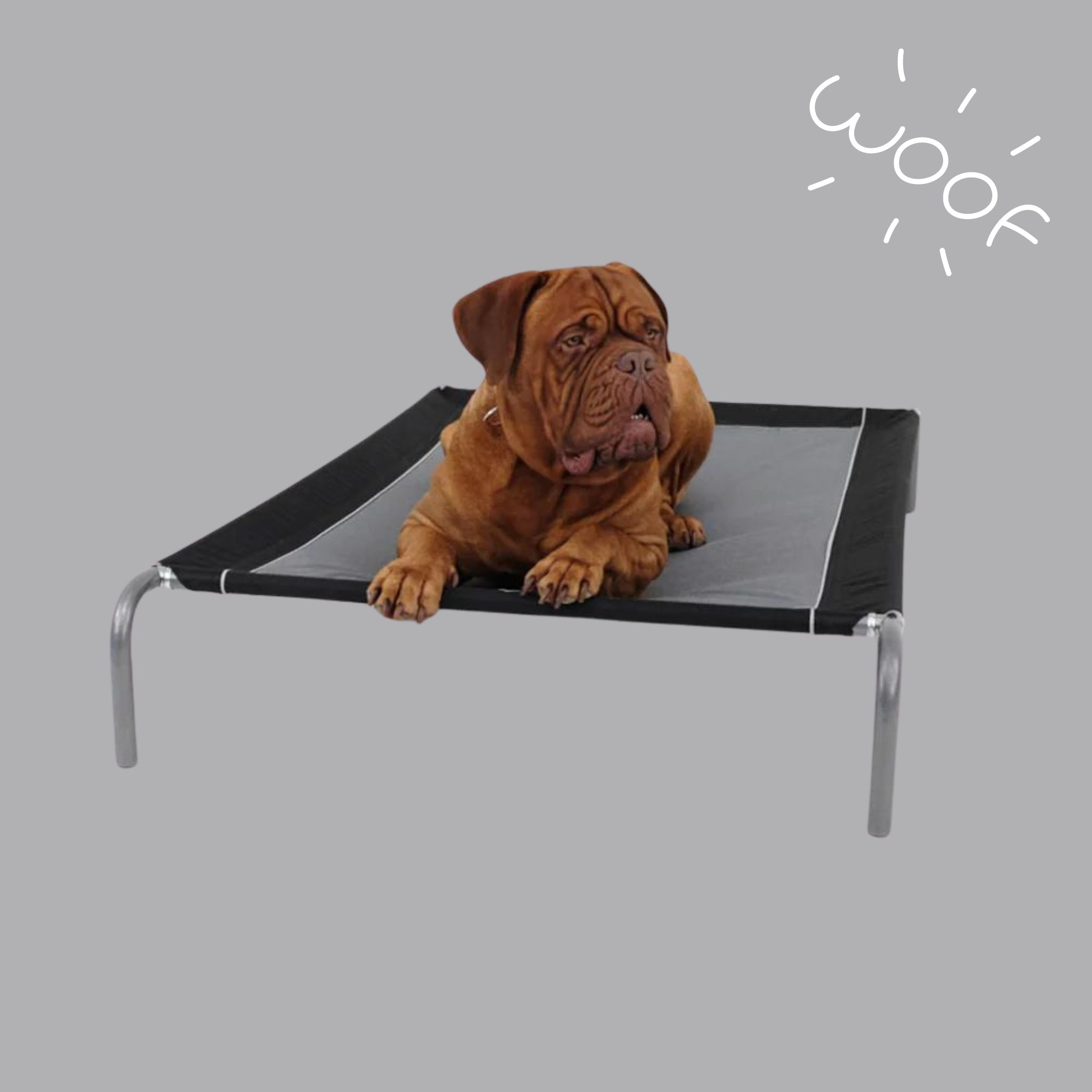 Elevated Dog Beds