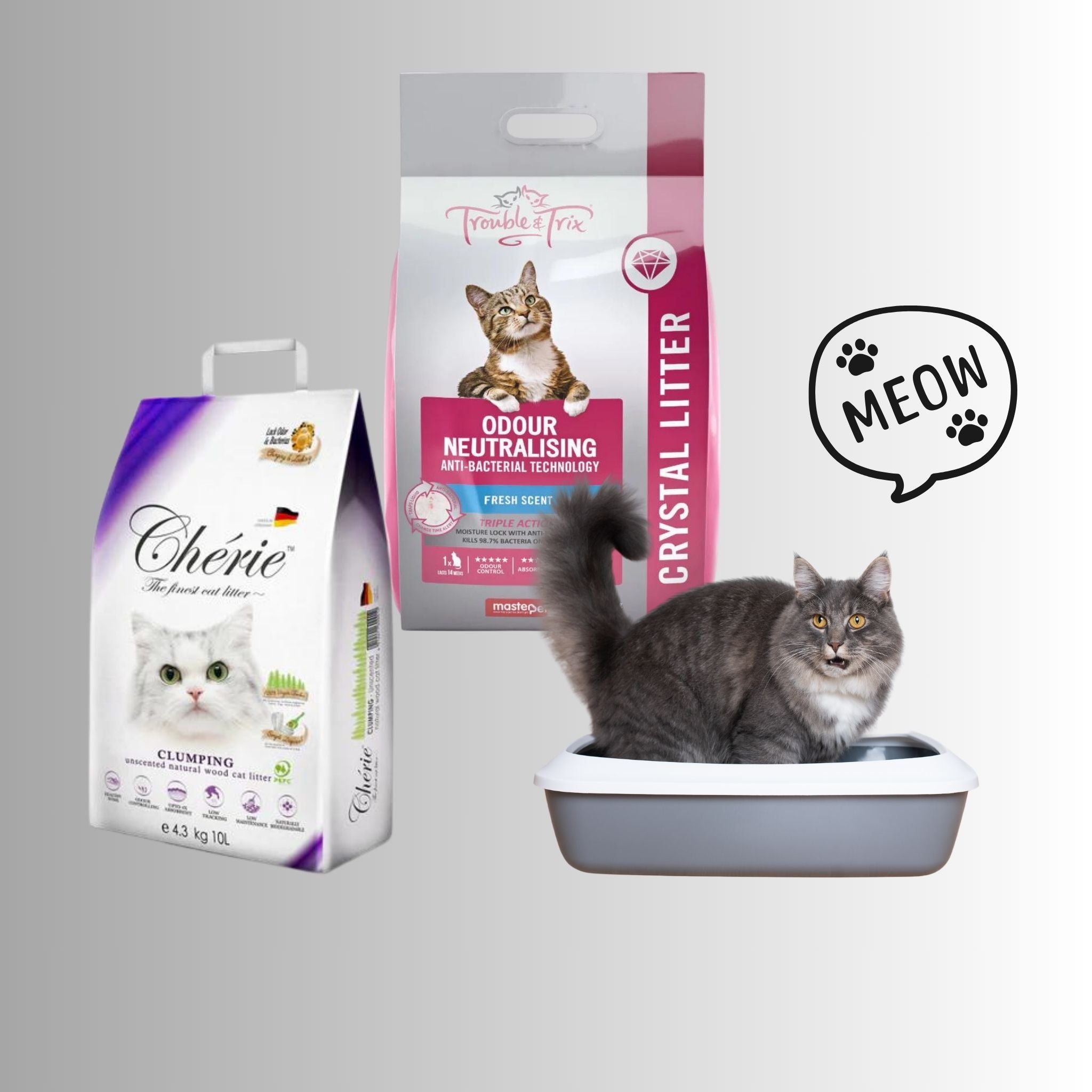 Cat Litter & Trays