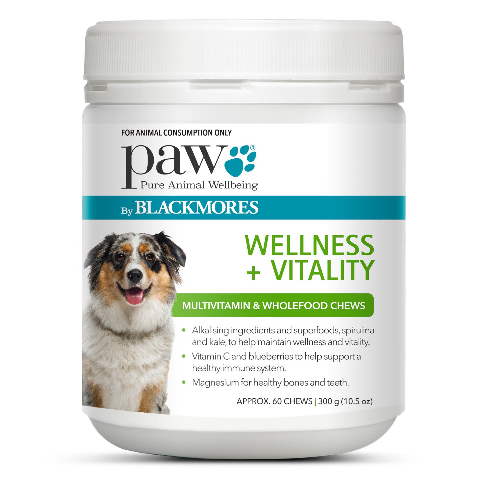 Dog Health & Wellbeing