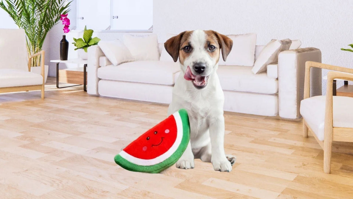 ZippyPaws Dog Toys & Feeders