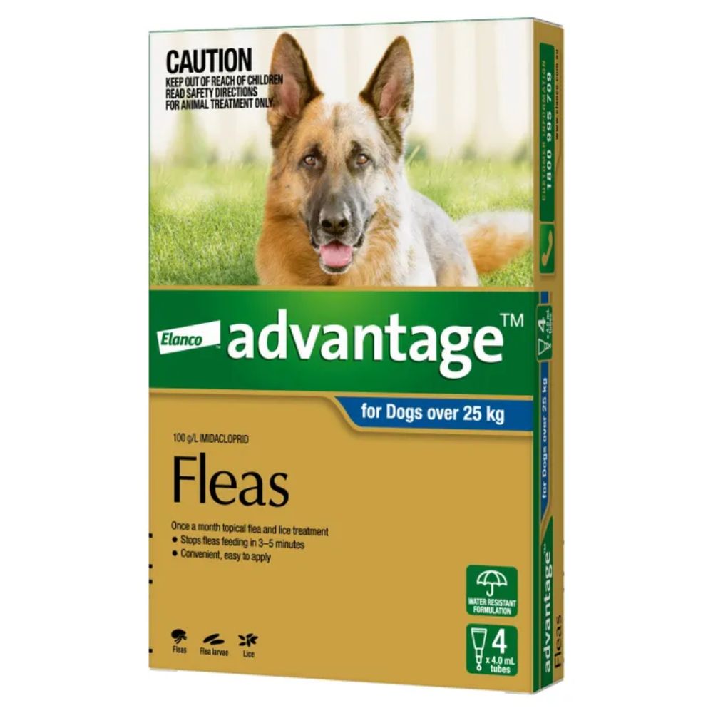 Product box for Advantage Flea Control targeting dogs over 25kg