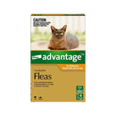 Advantage Flea Treatment for Kittens and Small Cats 0-4kg – Front view of branded packaging, highlighting fast-acting flea relief and 4 monthly applications.