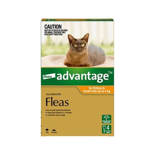 Advantage Flea Treatment for Kittens and Small Cats 0-4kg – Front view of branded packaging, highlighting fast-acting flea relief and 4 monthly applications.