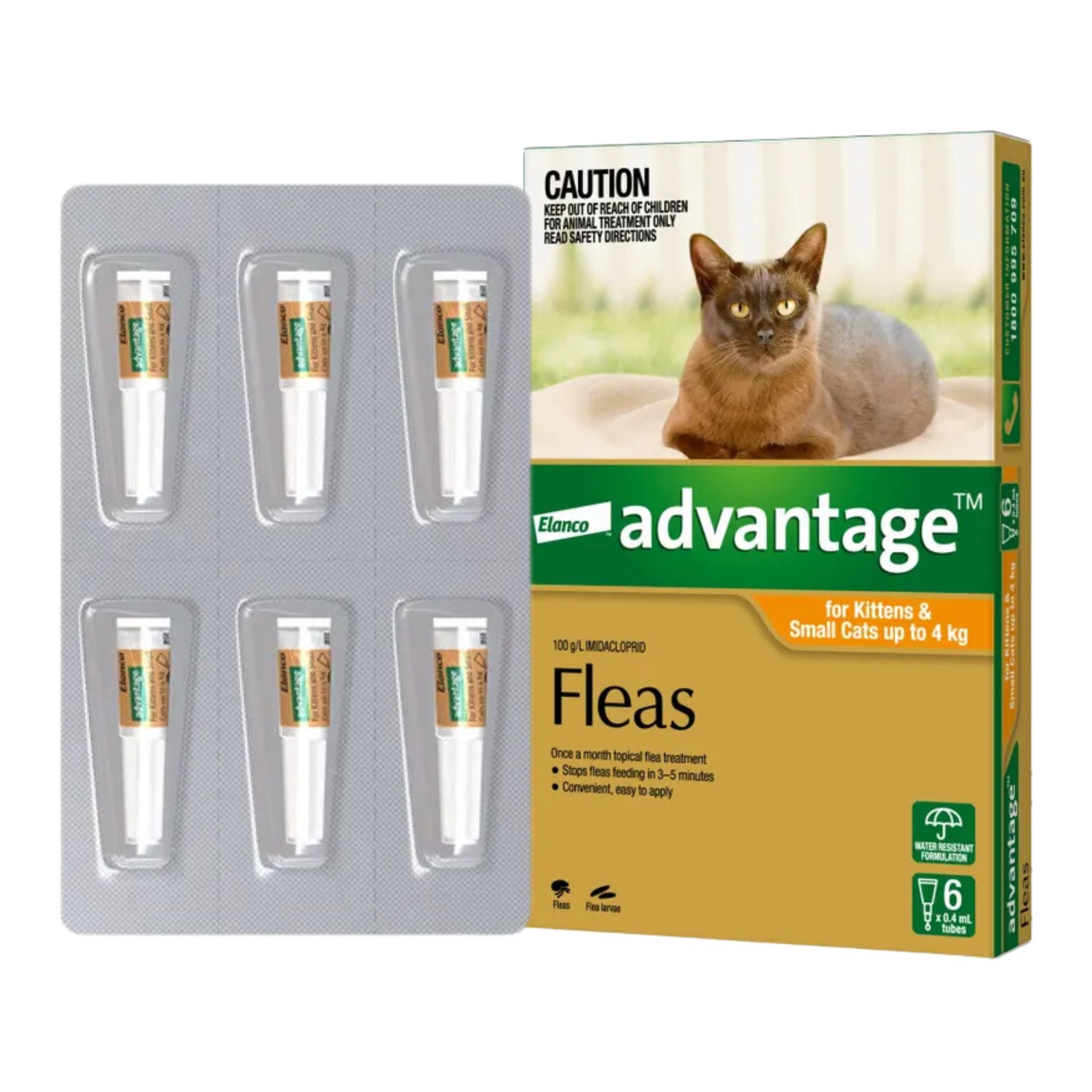 Advantage Flea Treatment for Kittens and Small Cats up to 4kg – Branded packaging with 6 applicators displayed alongside, offering extended flea protection.