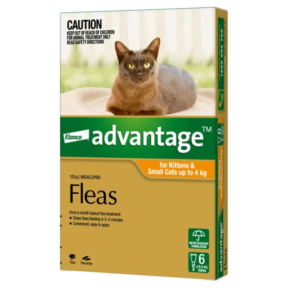 Product box of Advantage Flea Control for kittens and small cats