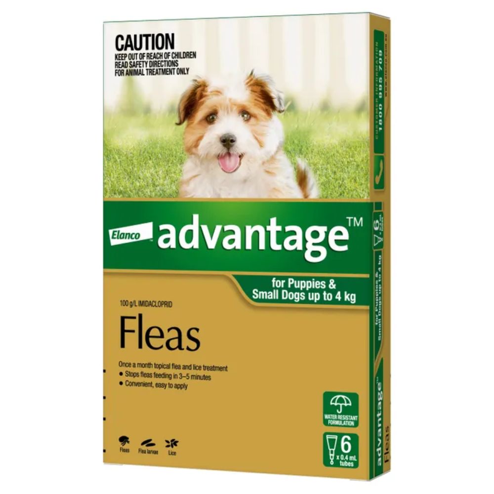 Image of Advantage Flea Treatment designed for puppies and small dogs