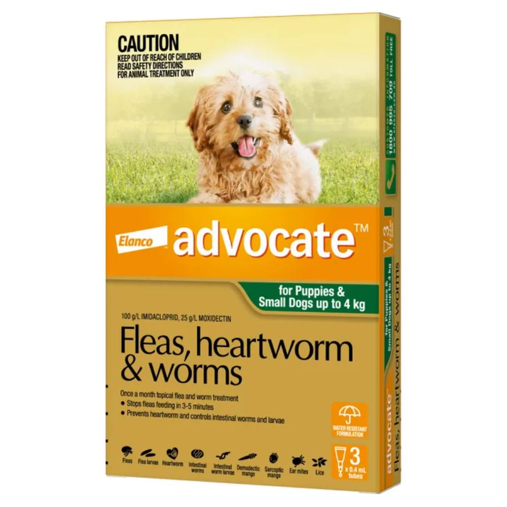 Advocate Small Dog Green, Suitable For Dogs And Puppies Up To 4Kg