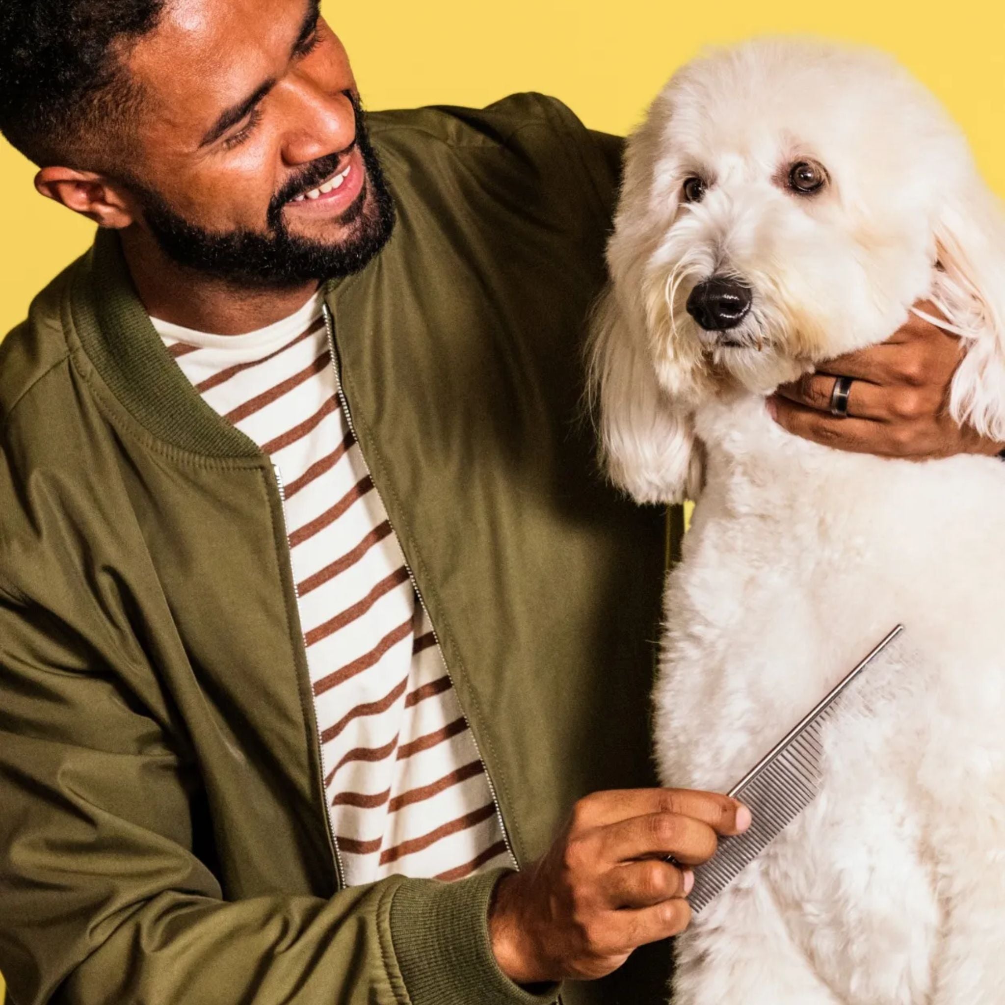 A dog owner gently grooming their dog with the 19cm Andis Steel Comb, removing loose hair and tangles from the coat.