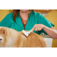 Groomer using the Andis Flexible Rake Comb to brush a small dog’s long coat, showing the comfortable and flexible design of the comb.