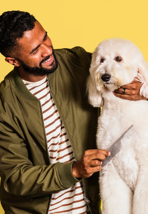 Man grooming a white dog with a Andis Steel Comb against a yellow background