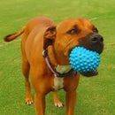 Aussie Dog Catch Ball - Durable and Fun Dog Toy